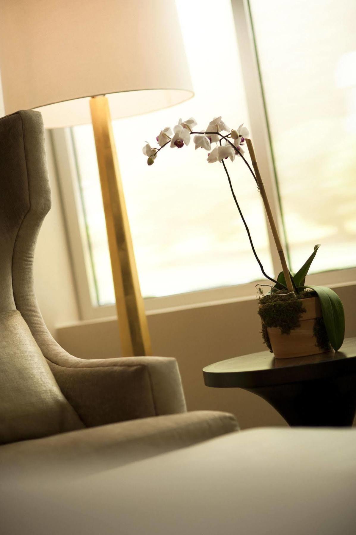 Hilton Hotel 5*